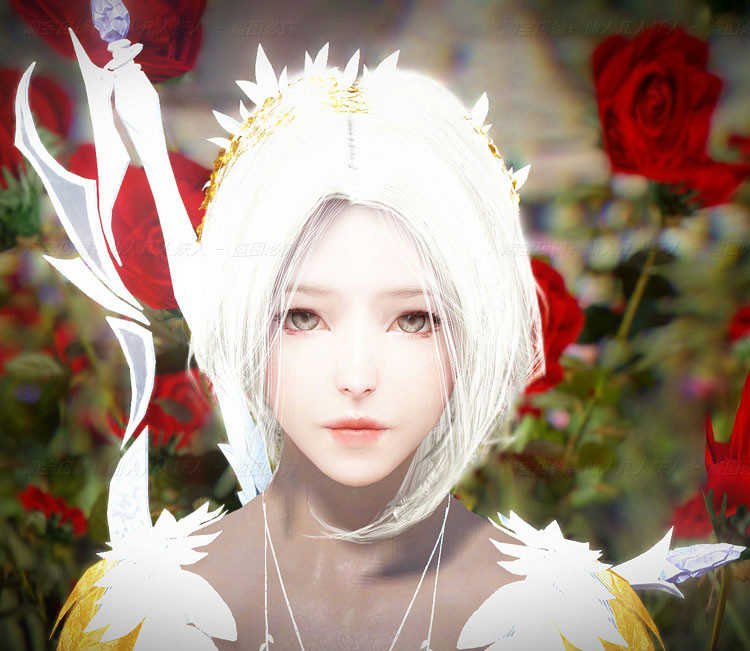 黑色沙漠单机版-新款2506版/2260版/2508版/捏脸电脑游戏 8个版本