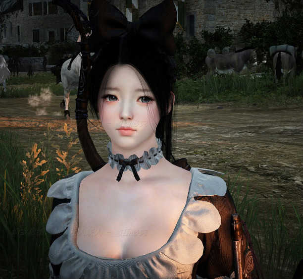 黑色沙漠单机版-新款2506版/2260版/2508版/捏脸电脑游戏 8个版本