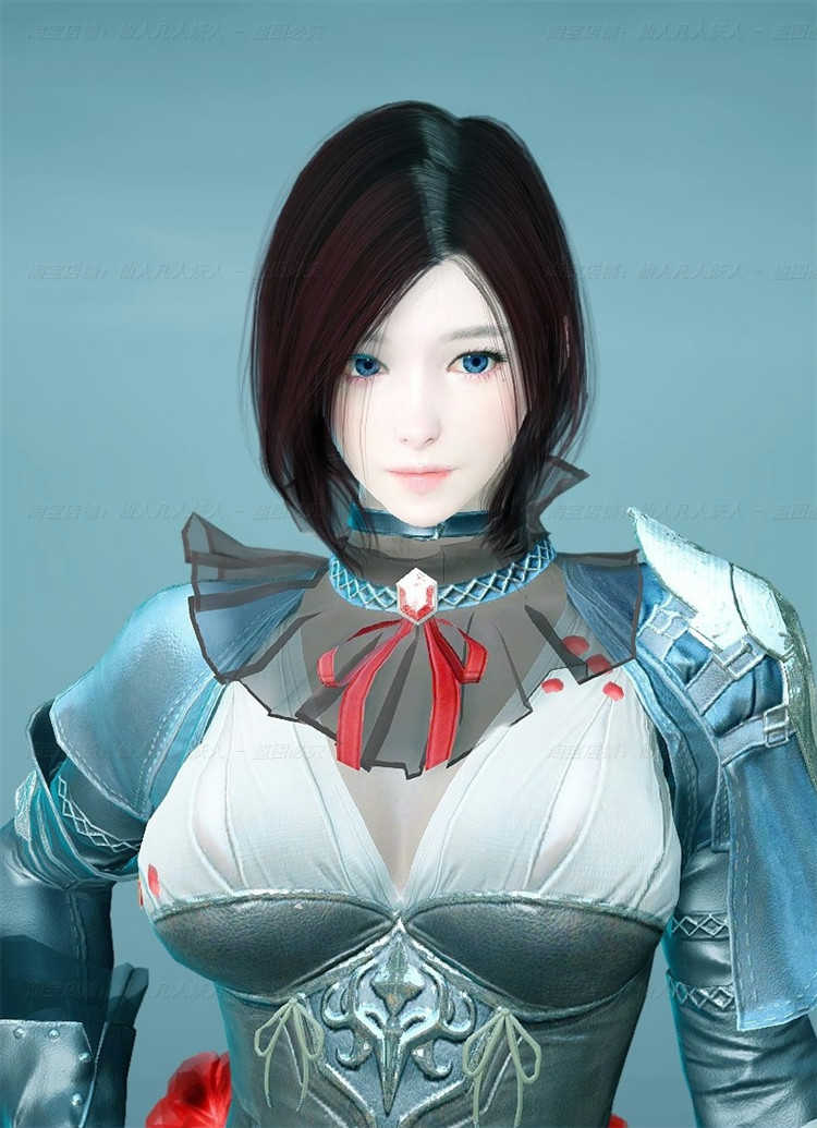 黑色沙漠单机版-新款2506版/2260版/2508版/捏脸电脑游戏 8个版本