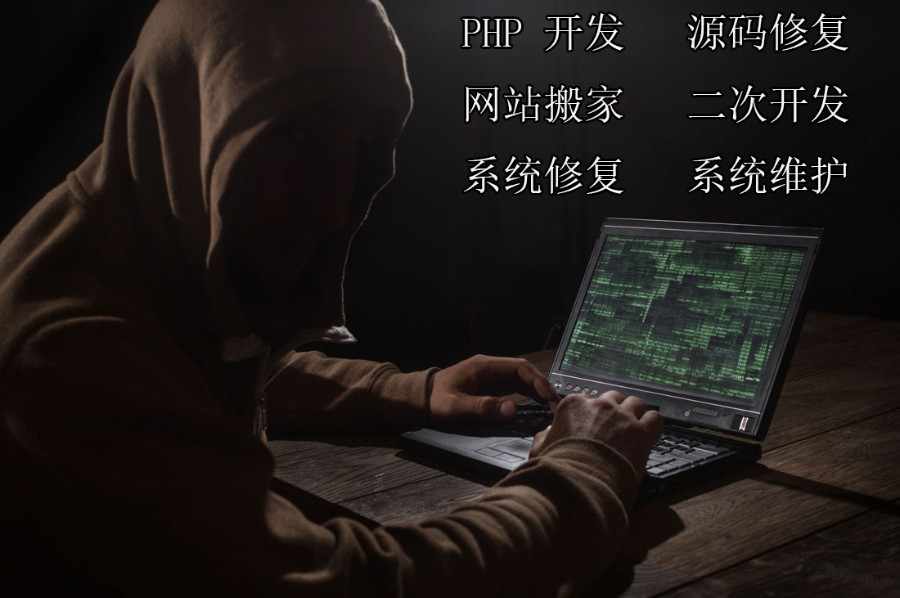对接支付开发定制APP小程序维护修复源码网站搬家搭建一条龙