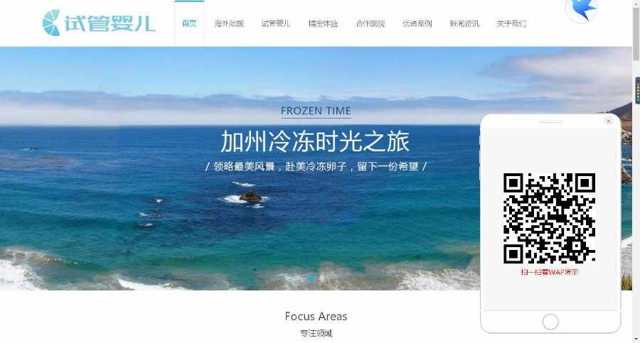 医疗试管婴儿响应式织梦模板（自适应手机端）