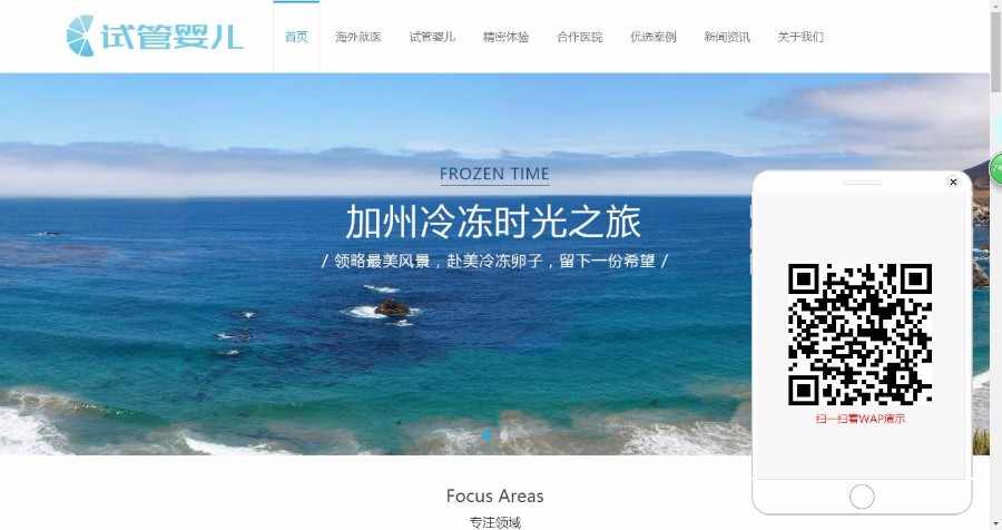 医疗试管婴儿响应式织梦模板（自适应手机端）