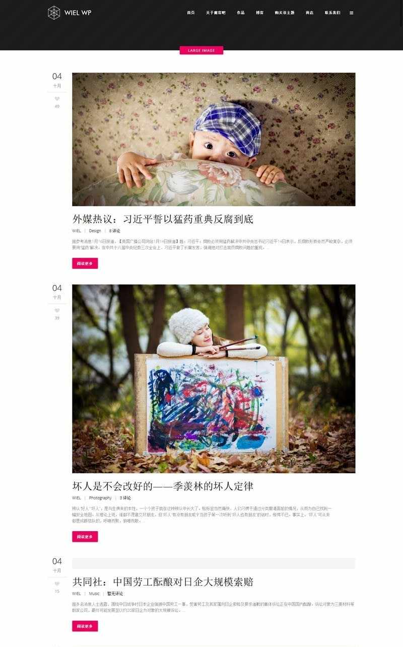 elision豪华级创意企业wordpress中文主题整站  +安装视频教程