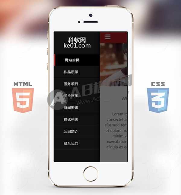 红黑HTML5国外手机网站模板