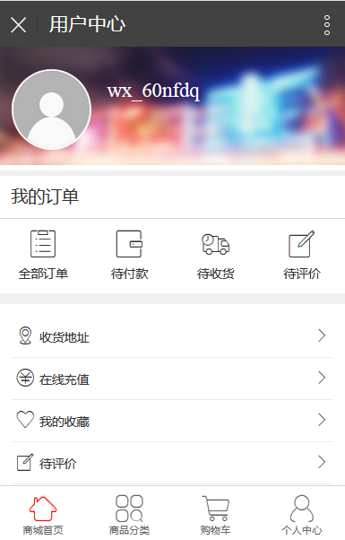 精美海外购微信商城静态页前端模板