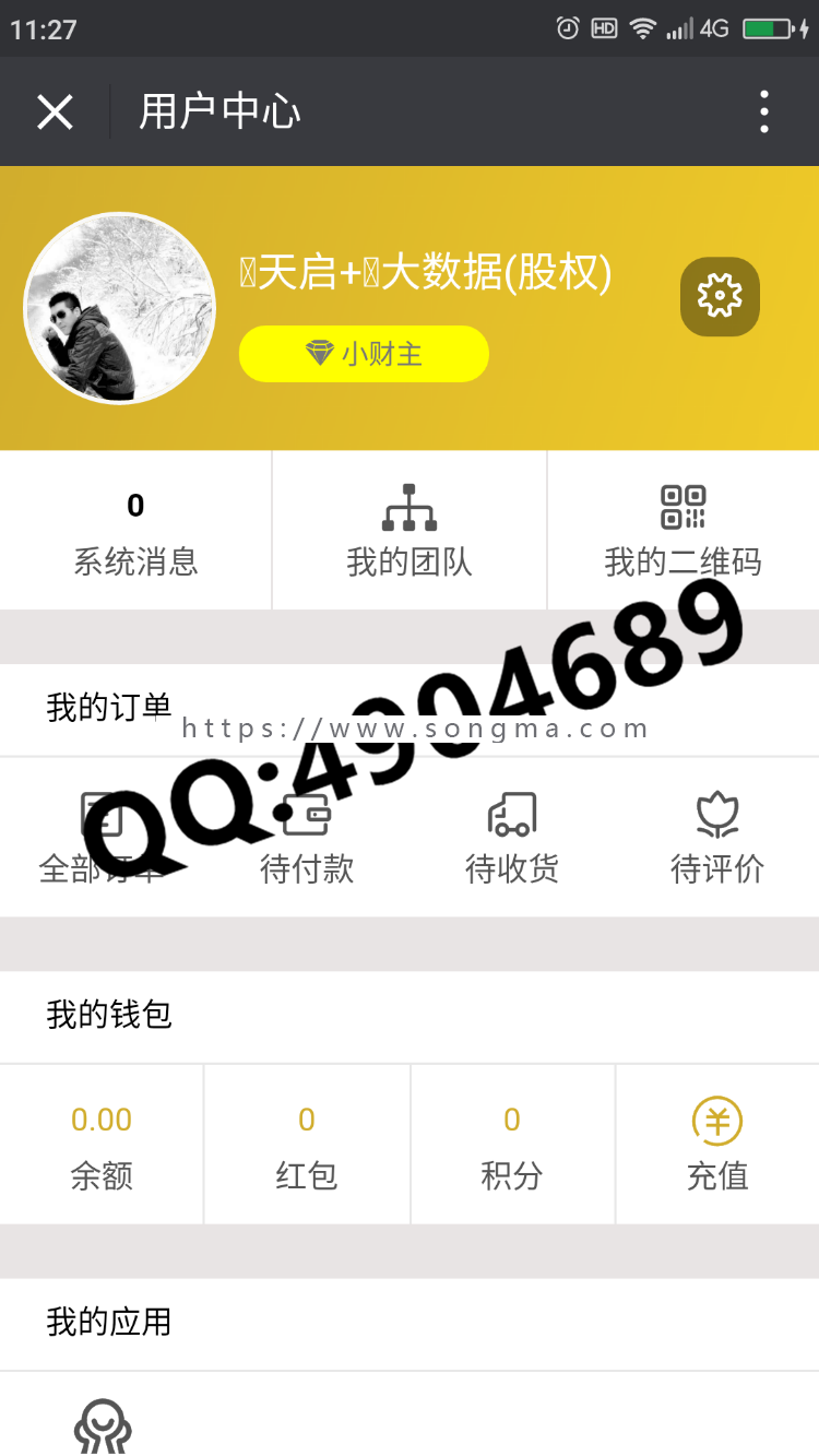 2018年最新公排+商城源码本然良品戳生活缀生活茜廉国际系二二复制大公排三三四四复制