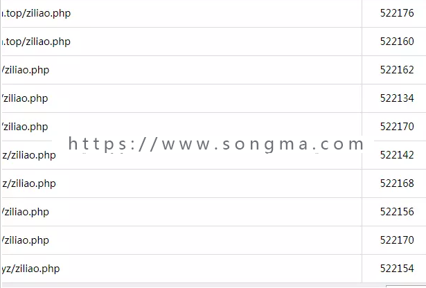 【正版养权重必备】最新站群SEO系统/高质量养站/寄生虫/小偷/自动收录/各行业霸屏程序