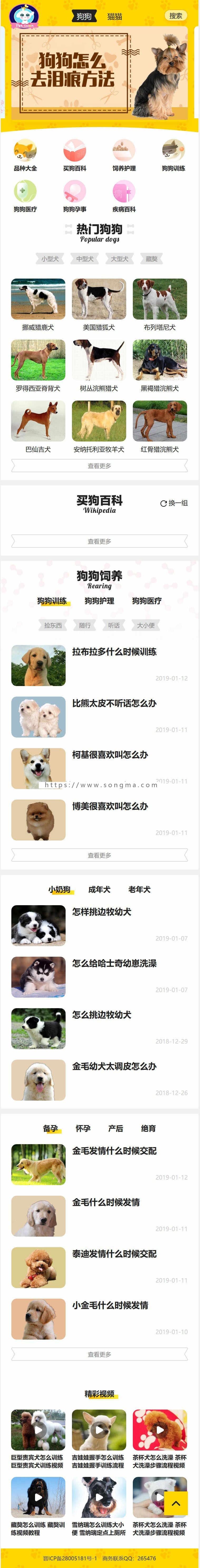 帝国cms仿《小可爱宠物网》宠物模板，宠物源码简洁大气带手机同步插件和火车头采集