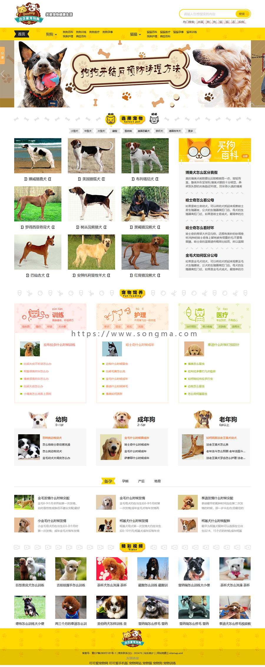 帝国cms仿《小可爱宠物网》宠物模板，宠物源码简洁大气带手机同步插件和火车头采集