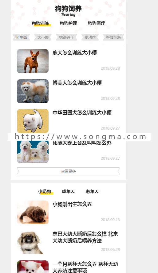 92ganme《小可爱宠物网》专业宠物资讯平台+采集