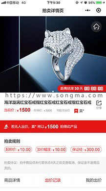 新版拍卖小程序源码,带前端开源,拍卖小程序开发制作,平台租用合作