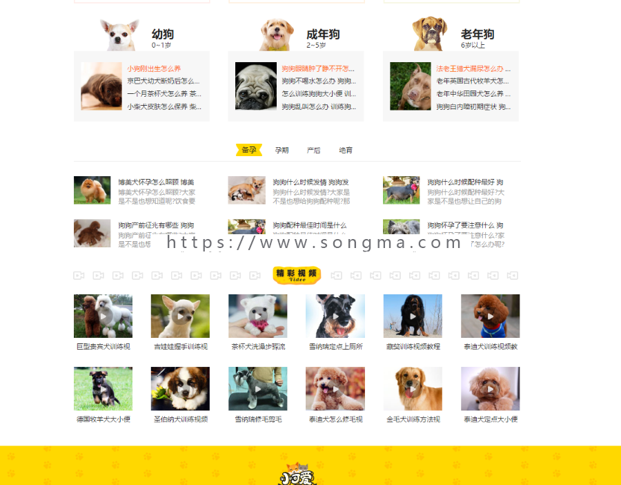 92ganme《小可爱宠物网》专业宠物资讯平台+采集