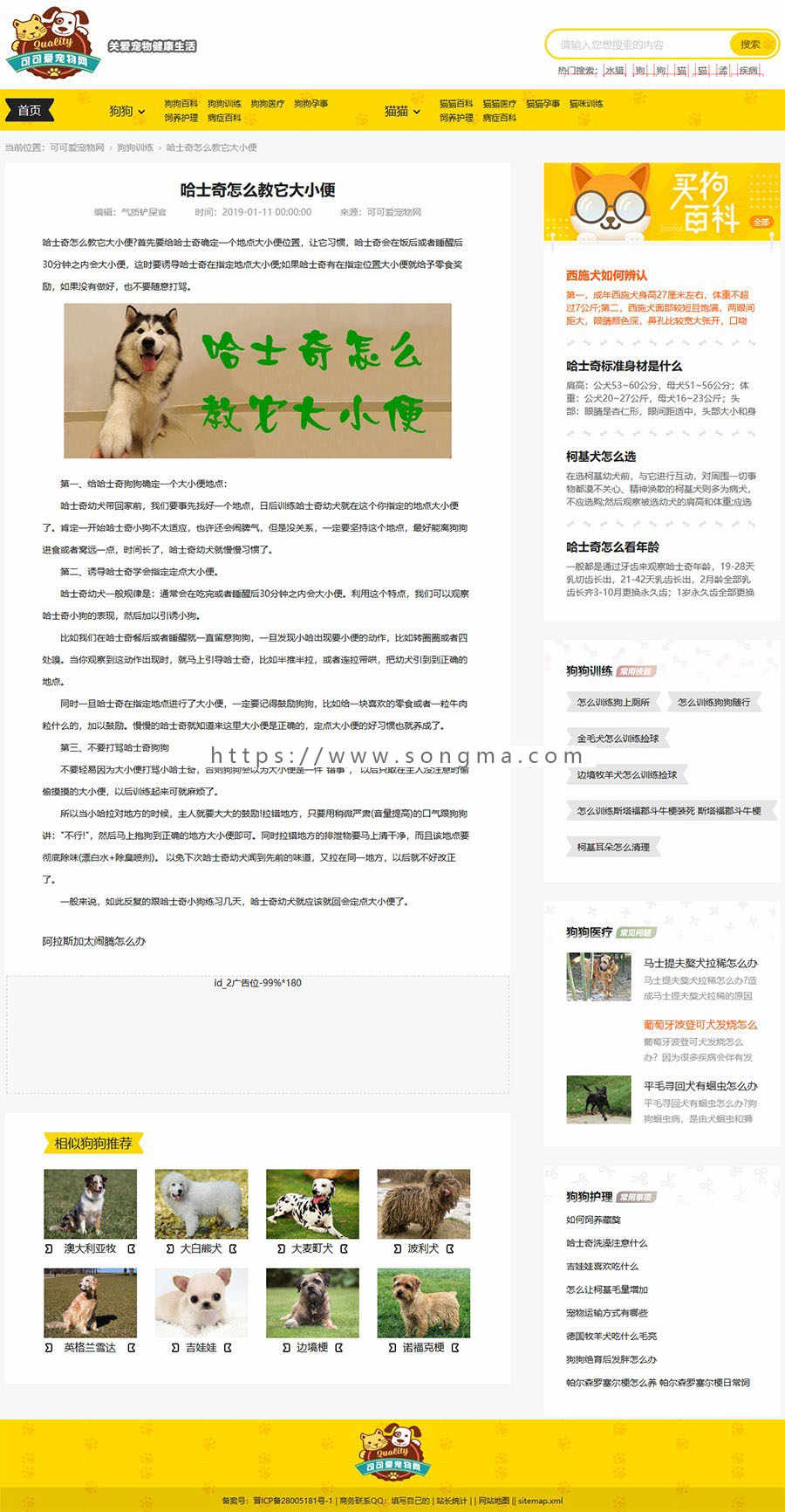 帝国cms仿《小可爱宠物网》宠物模板，宠物源码简洁大气带手机同步插件和火车头采集