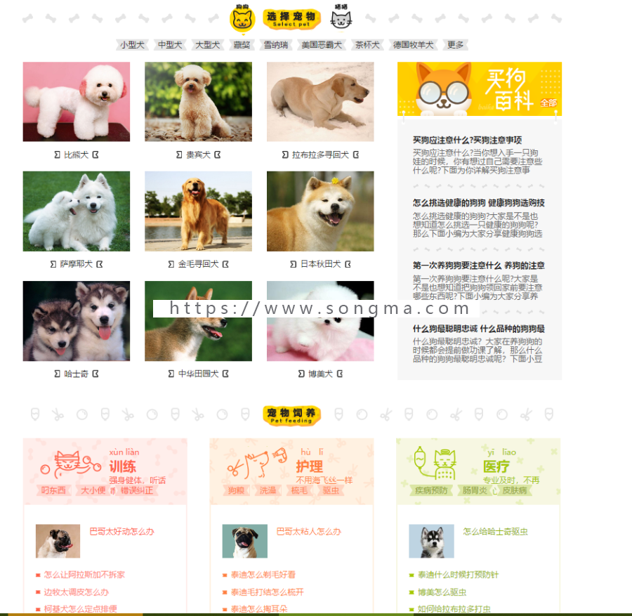 92ganme《小可爱宠物网》专业宠物资讯平台+采集