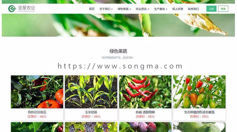 WordPress多功能主题Cosy破解版模板