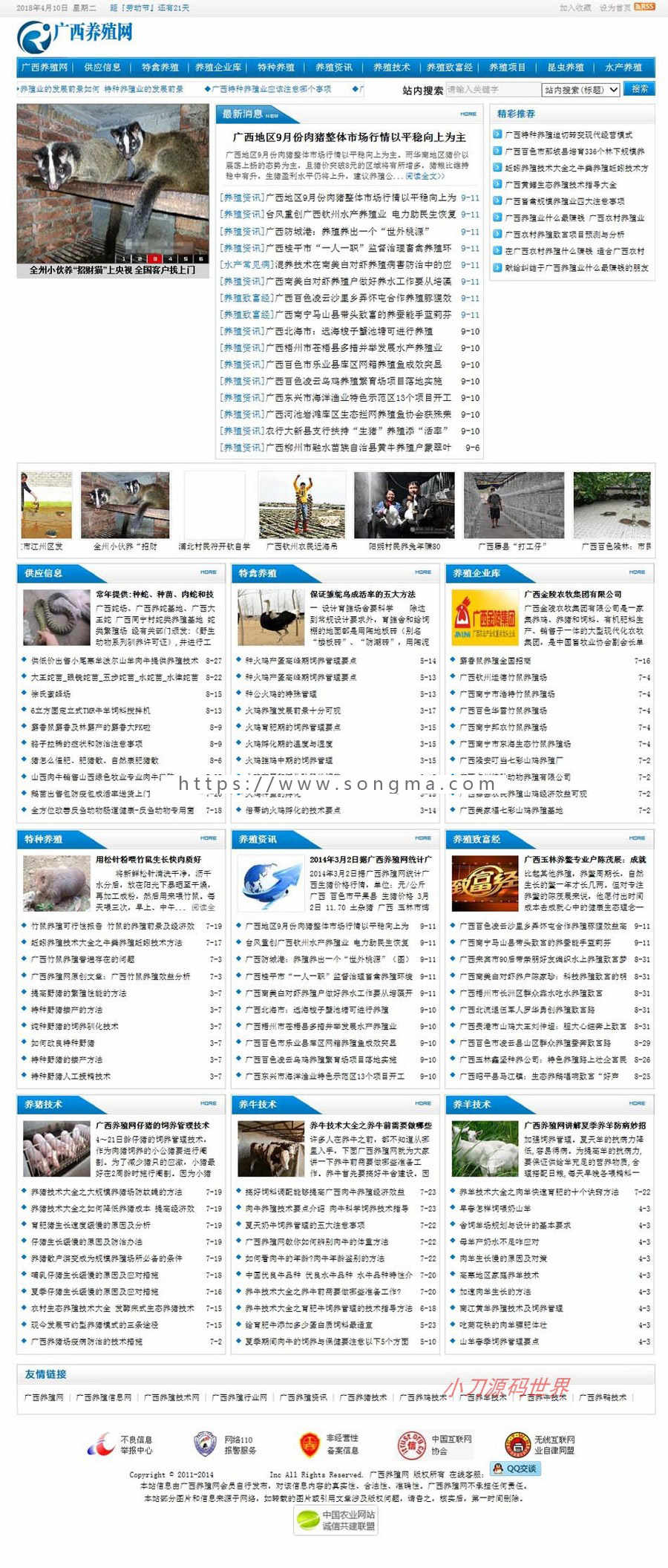 蓝色大型养殖技术信息资讯门户系统ASP网站源码XYM561 ASP+ACC