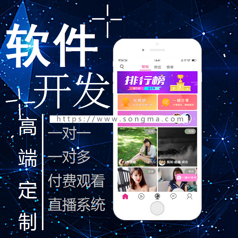 2019年一对一视频直播源码