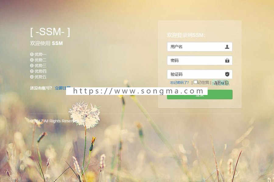 Java开发ssm网站后台管理系统源码