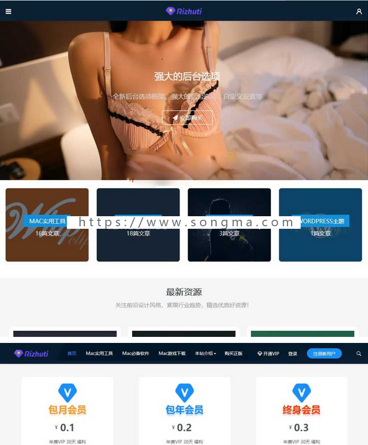 Wordpress模板日主题Rizhuti 3.2虚拟资源素材下载主题网站源码