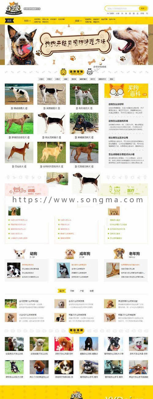 帝国CMS内核仿《小可爱宠物网》宠物资讯平台网站源码完整版+火车头采集风格独特界面漂