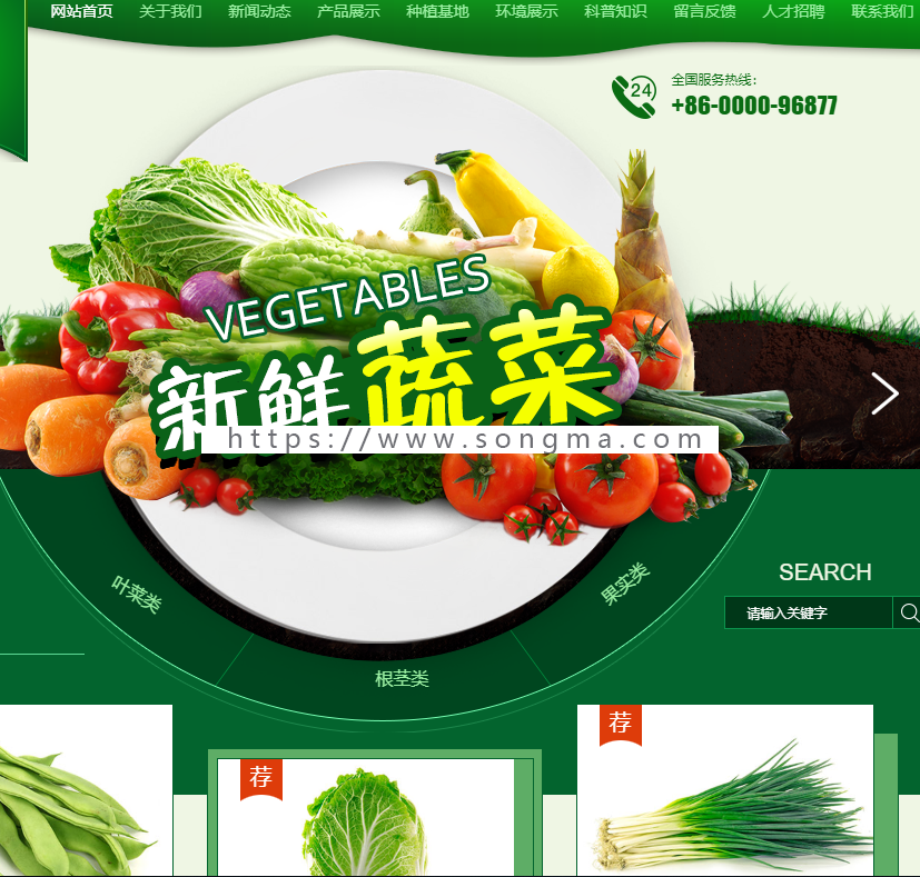 行业高端H5门户网站源码带seo纯静态页面带后台PC+手机-TP000194