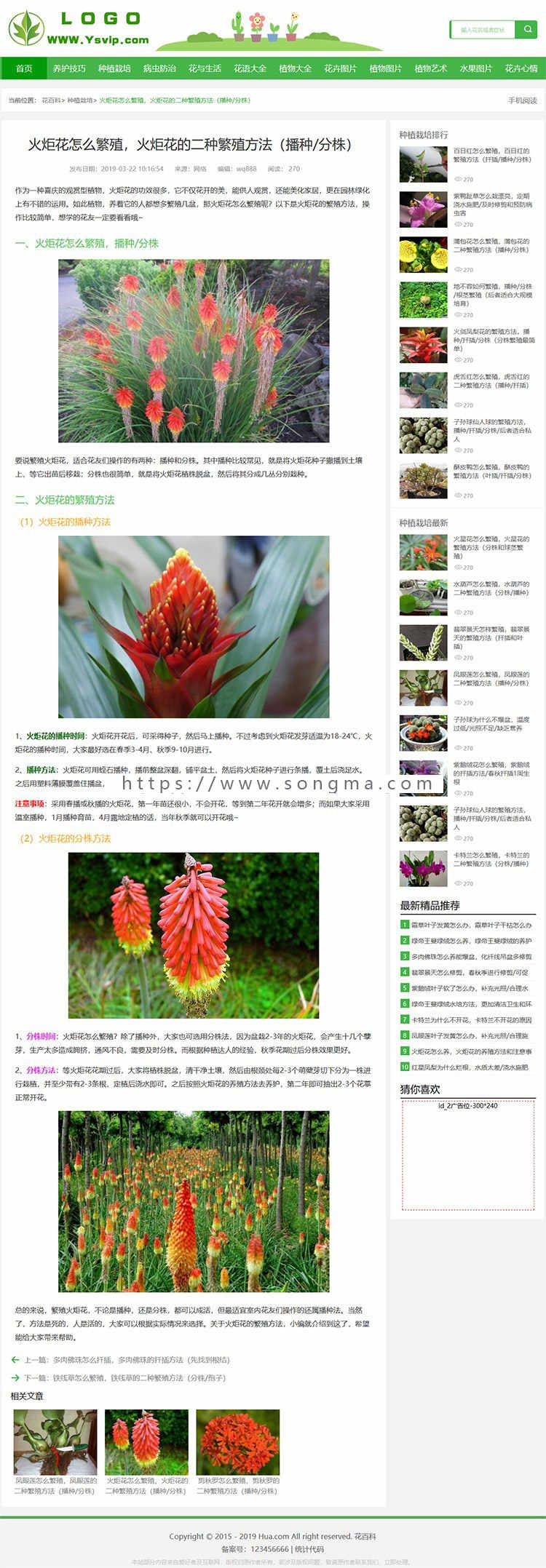 帝国CMS7.5模板 花草植物模板 花百科源码 花草乐模板 帝国MIP模板