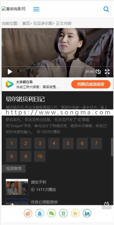 Video08仿拓源影视小旋风蜘蛛池模板小旋风蜘蛛池原创模板手机模板