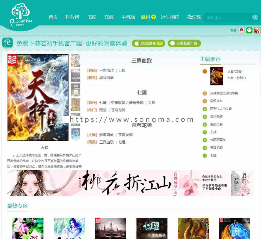 小说网站 杰奇程序 自动采集 带vip打赏