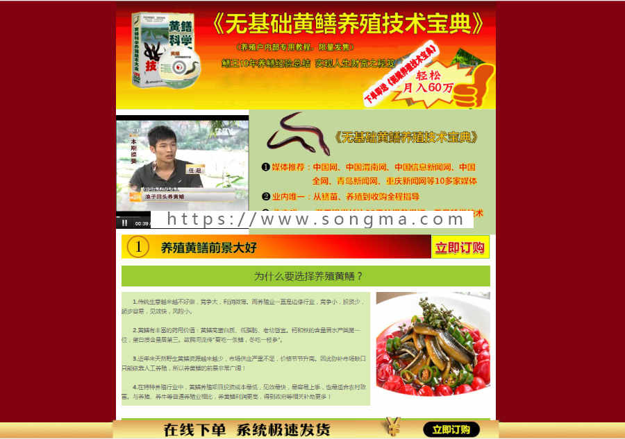 黄鳝养殖技术教程竞价单页自动发货源码 + 教程资源打包  养殖技术竞价单页 （高收益）