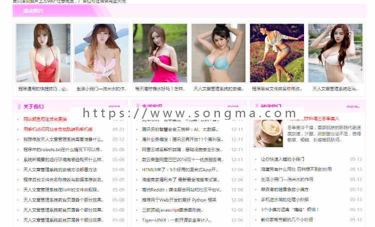 天人文章管理系统带手机版