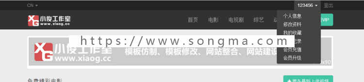 AVS**电影站第二版精仿含会员中心模板-苹果cms8x模板