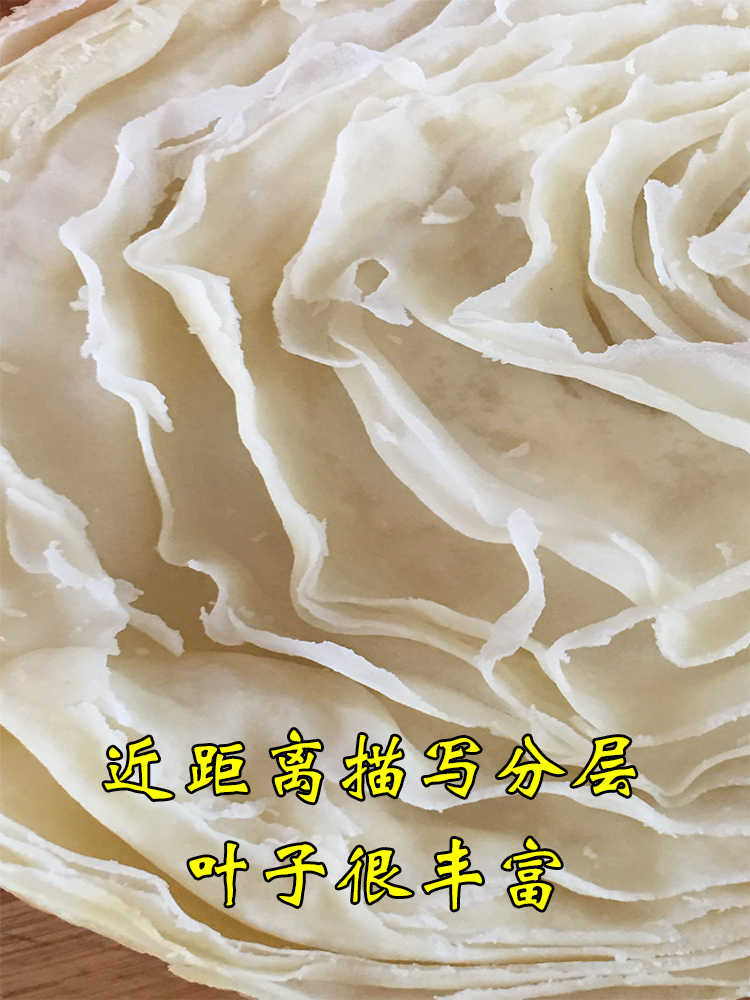 新品正宗商用西安老潼关肉夹馍技术配方视频教程冷冻饼坯制作做法