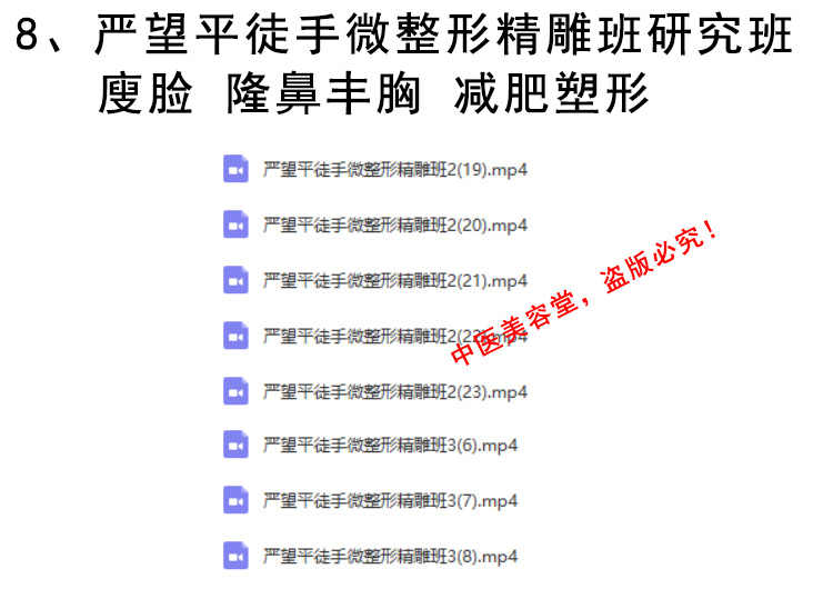 徒手整形实用技术张富源王红锦仝氏许强正骨徒手整形视频教程全集