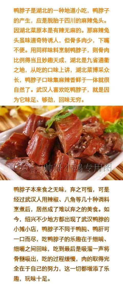 周黑鸭精武绝味久久鸭脖技术配方 武汉鸭货小吃技术配方视频教程 - 宋马