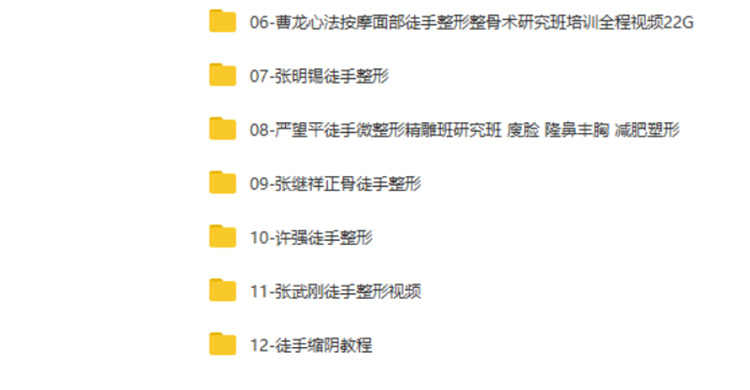 徒手整形实用技术张富源王红锦仝氏许强正骨徒手整形视频教程全集