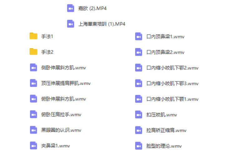 徒手整形实用技术张富源王红锦仝氏许强正骨徒手整形视频教程全集