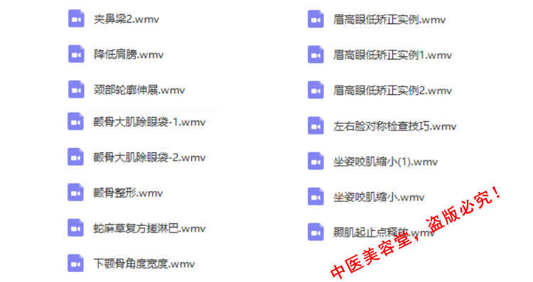 徒手整形实用技术张富源王红锦仝氏许强正骨徒手整形视频教程全集