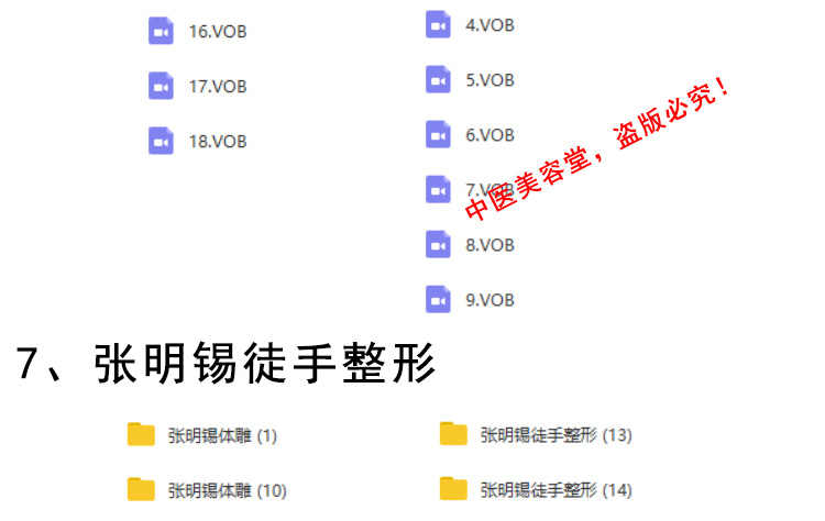 徒手整形实用技术张富源王红锦仝氏许强正骨徒手整形视频教程全集