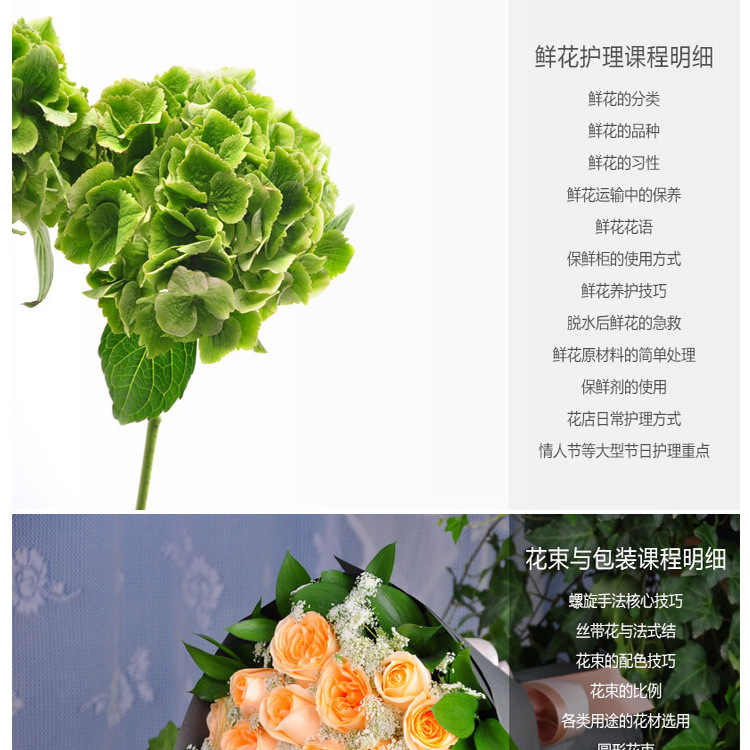 插花教学视频教程 开花店运营 花艺花束花车零基础自学入门到精通