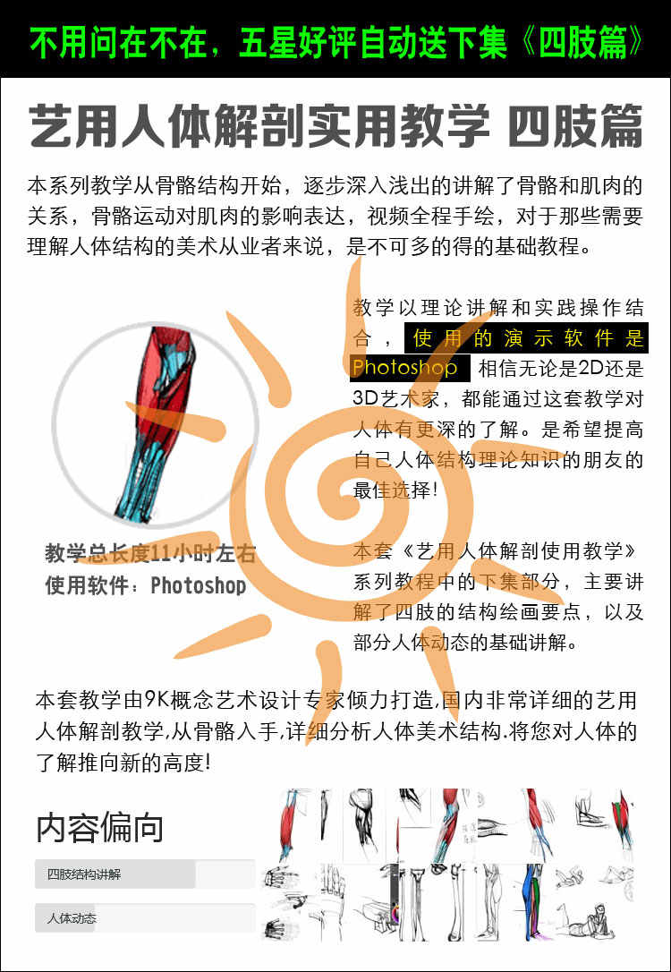 王九斤艺用人体解剖实用绘画躯干篇四肢篇人物骨骼肌肉视频教程