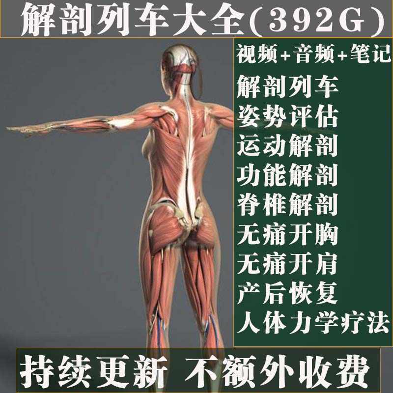 李哲2018解剖列车讲解视频教程姿势评估运动解剖产后功能恢复视频