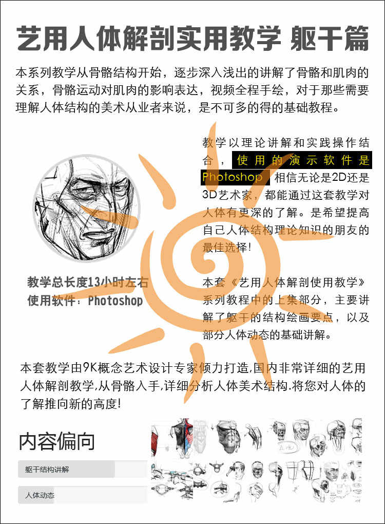 王九斤艺用人体解剖实用绘画躯干篇四肢篇人物骨骼肌肉视频教程