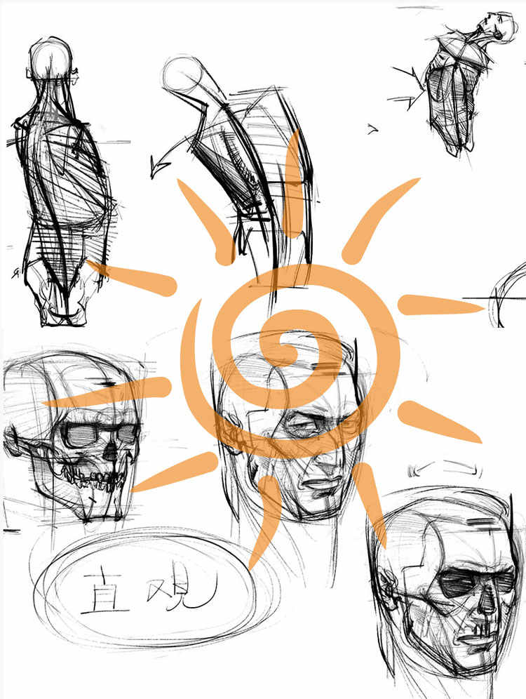 王九斤艺用人体解剖实用绘画躯干篇四肢篇人物骨骼肌肉视频教程