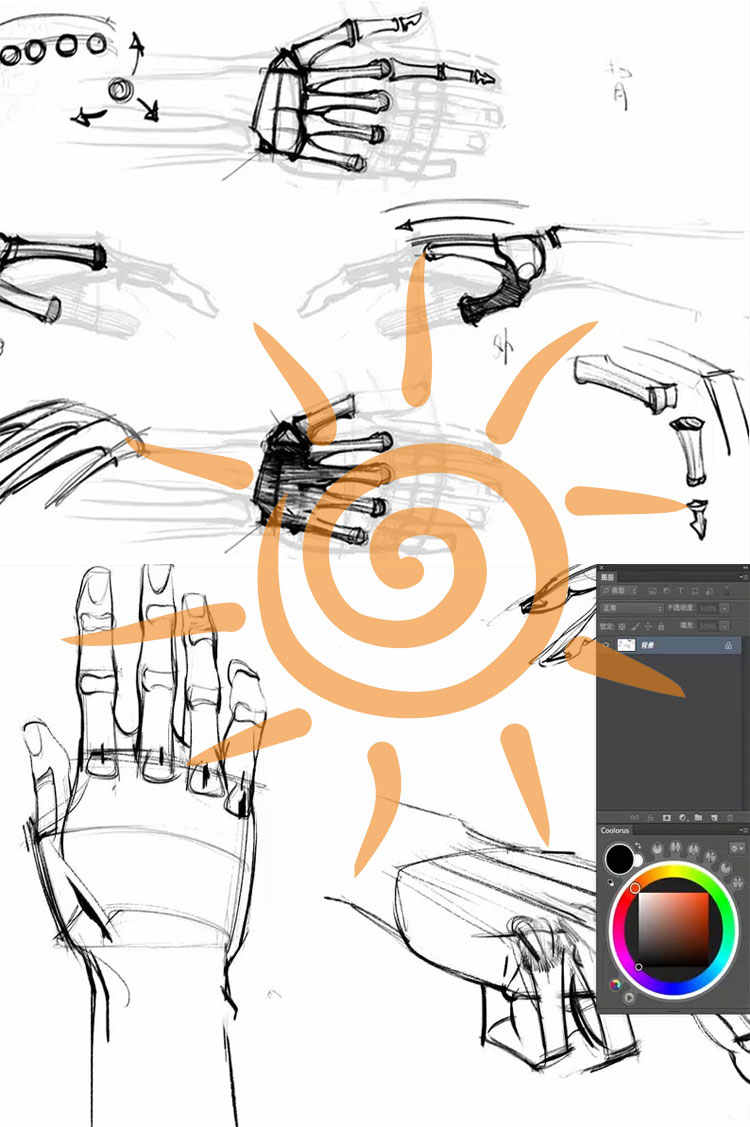 王九斤艺用人体解剖实用绘画躯干篇四肢篇人物骨骼肌肉视频教程