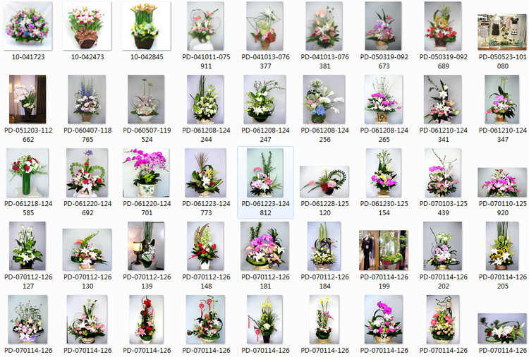 插花教学视频教程 开花店运营 花艺花束花车零基础自学入门到精通