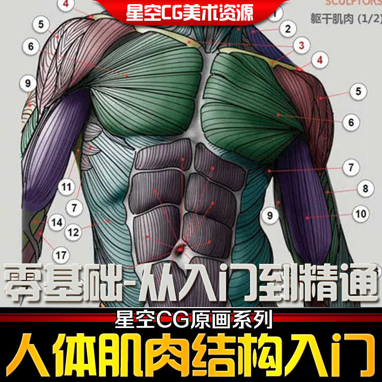 图片[12] - ipad绘画教程视频procreate插画软件课程美术资源笔刷手绘动漫 - 宋马