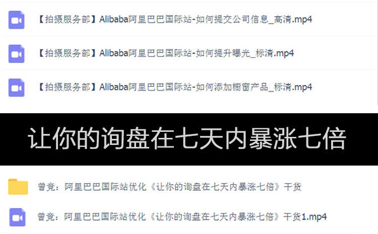 阿里巴巴运营推广新手开店视频教程诚信通1688培训装修课程