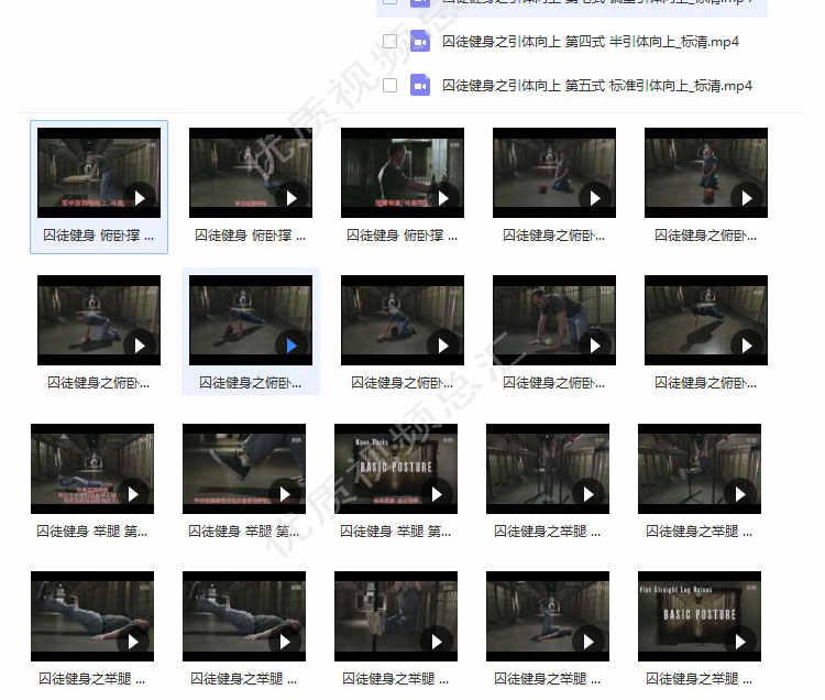 囚徒健身全套教学视频教程中文字幕男士增肌减脂运动训练学习教材