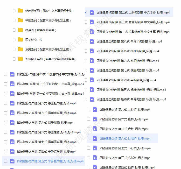 囚徒健身全套教学视频教程中文字幕男士增肌减脂运动训练学习教材