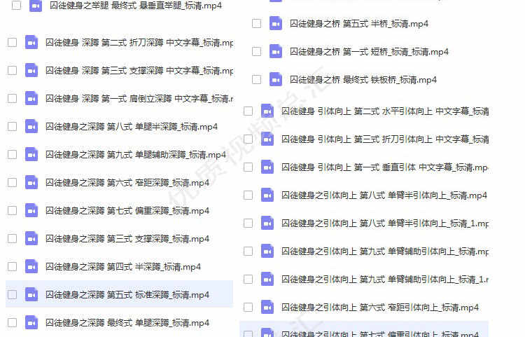 囚徒健身全套教学视频教程中文字幕男士增肌减脂运动训练学习教材